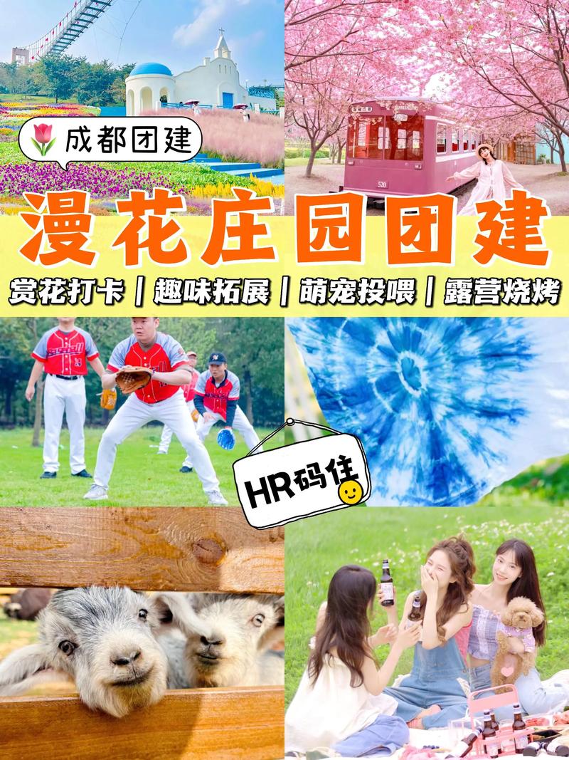 真人CS拓展：体验团队合作与策略智慧的完美结合